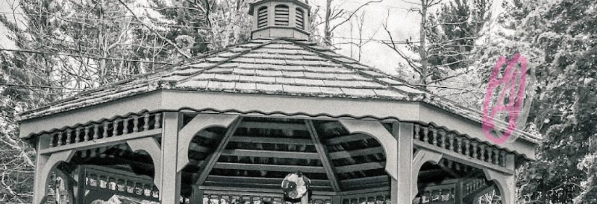 Amanda Obara Photography