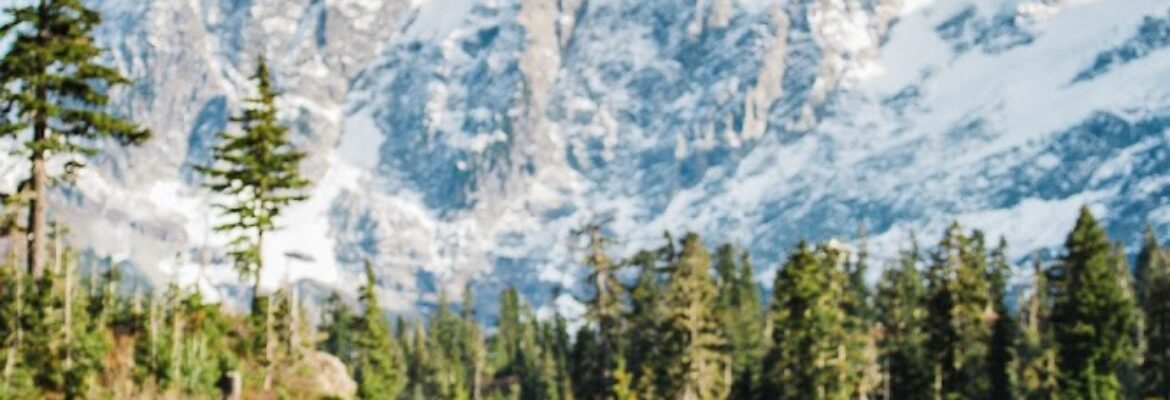 Photography by Betty Elaine