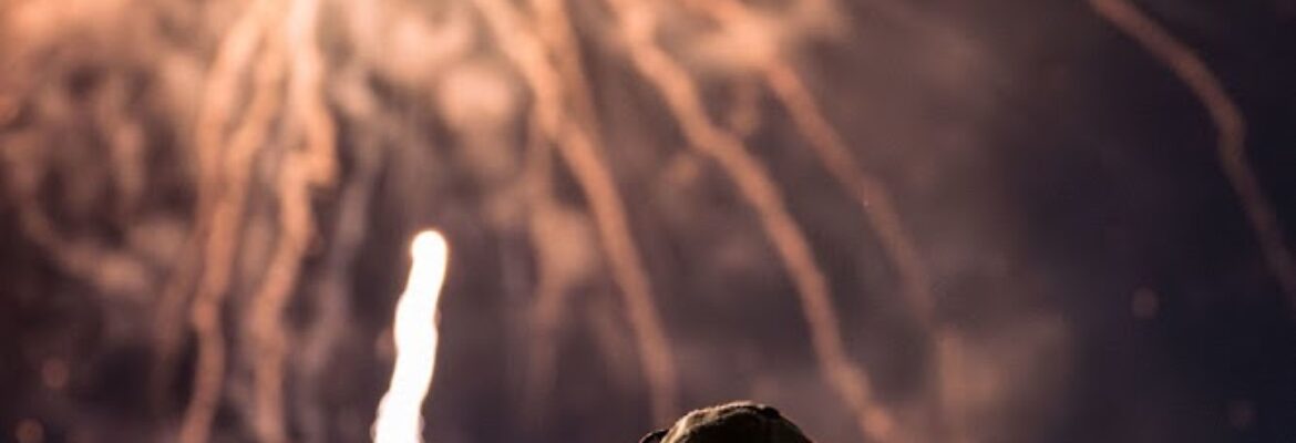 Adam Blejer Photography LLC