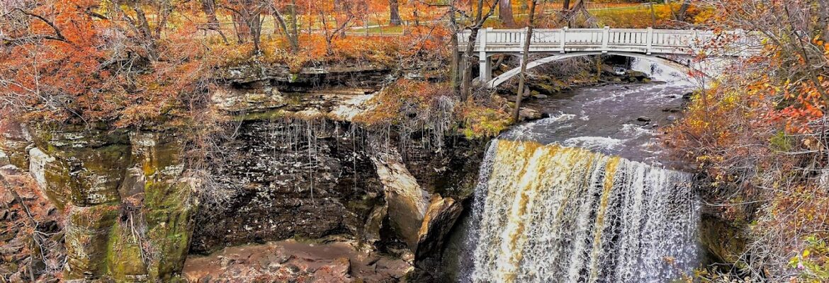 Star to Star Photography