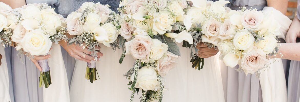 Shea Gibson Photography