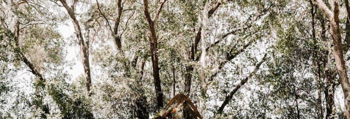 Sweet Charms Photography & Film