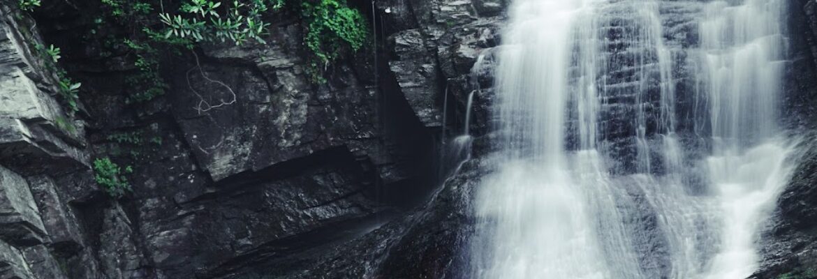 Weathered Traveller Photography