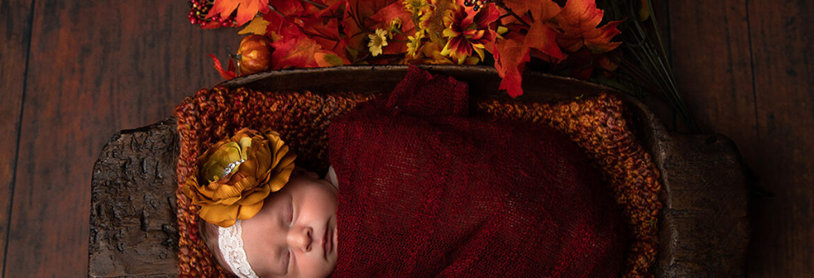 Anne Companion Photography