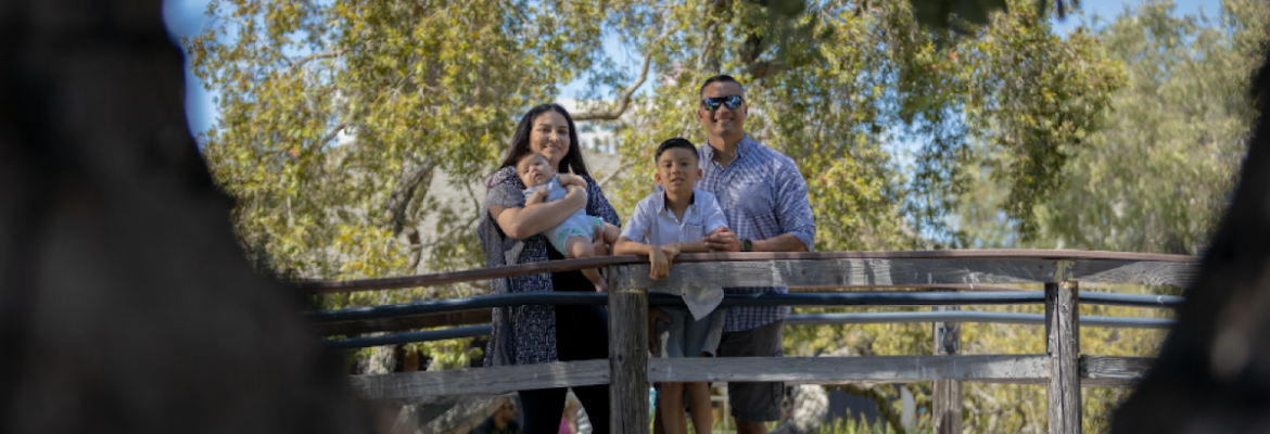 Vikmurillo Photography