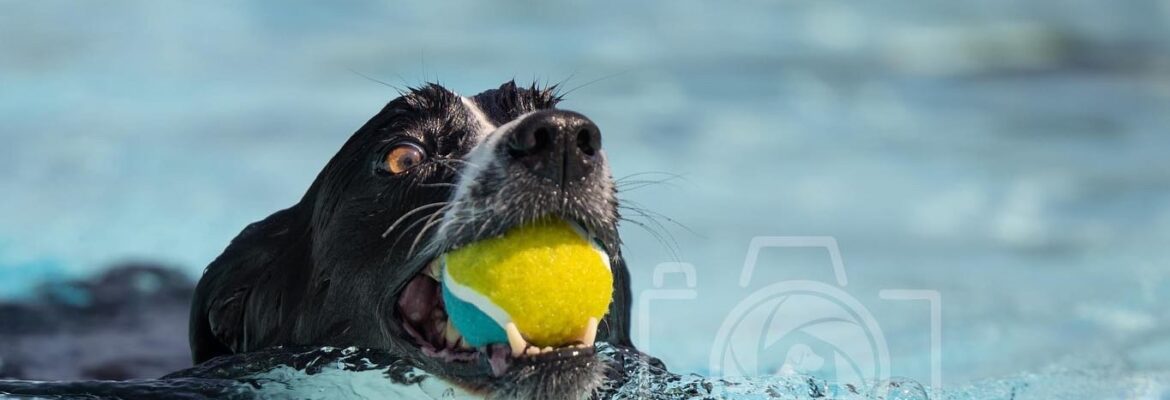 Megan Purtell Photography