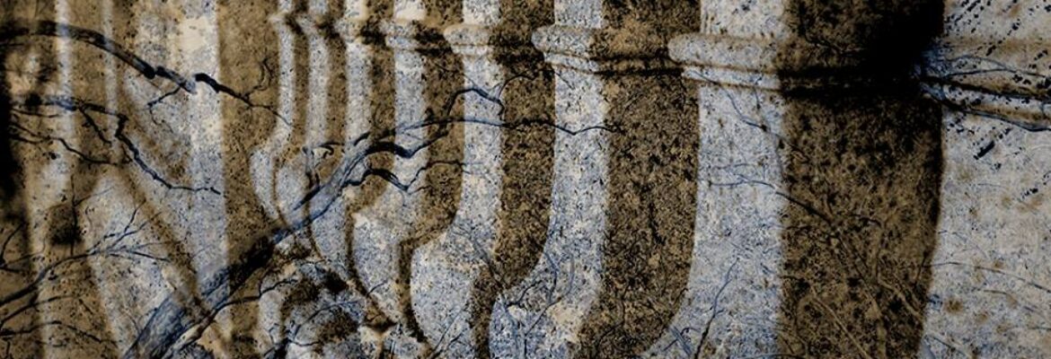 Nicole Capobianco Photography & Design