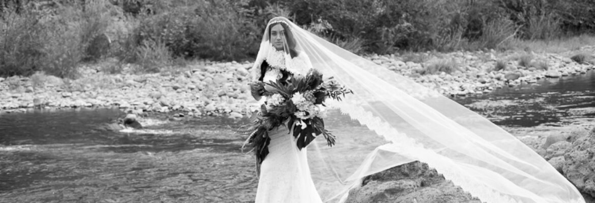 The Family Photograph