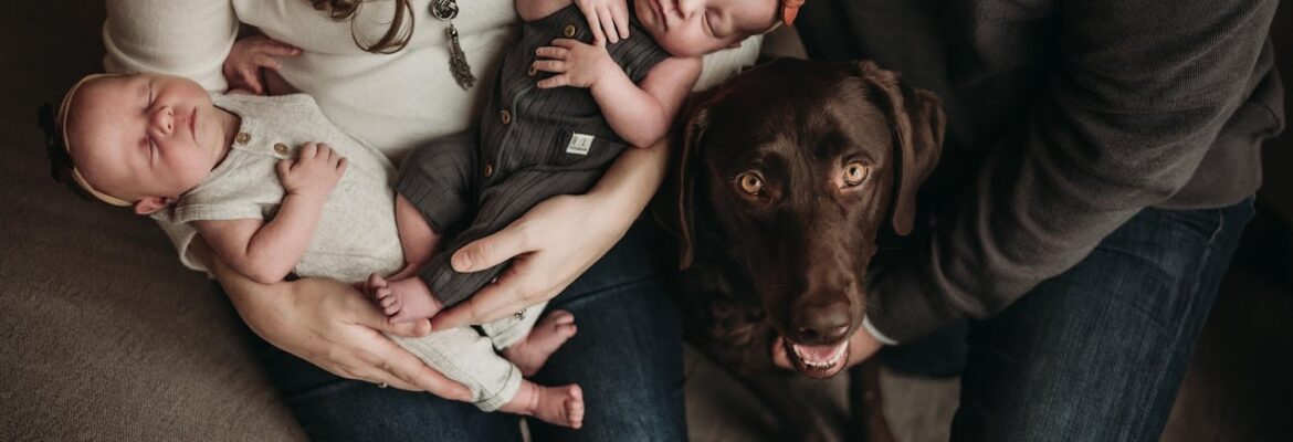 Katiebee Photography