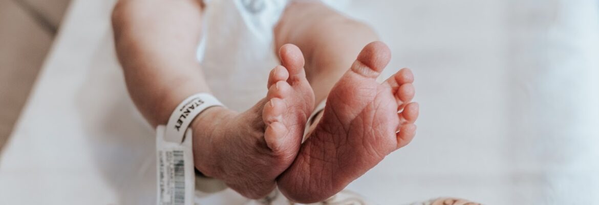 Harper Bee Photography