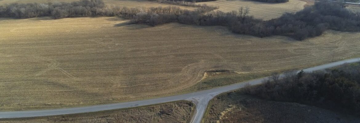 Piercing Sight Drone