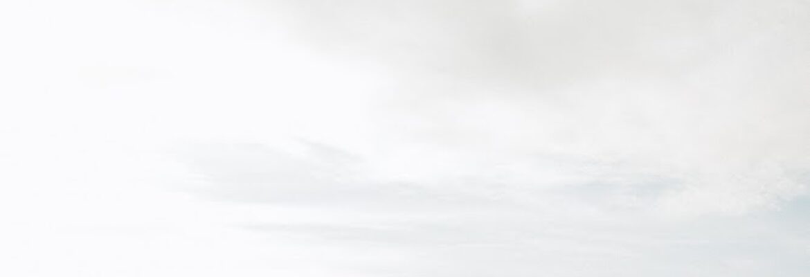 Erica Rochelle Photography