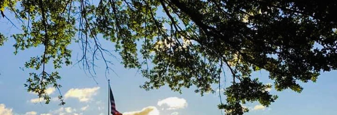 Brittany Lynn Captures