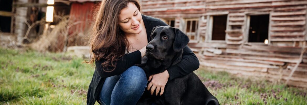 Let the Light in Photography