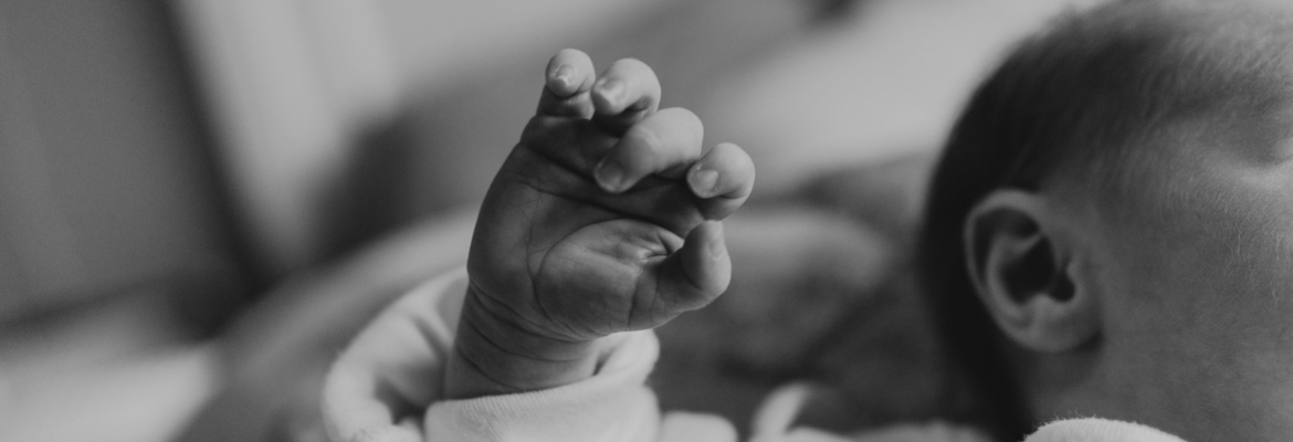 Megan Leonard Photography