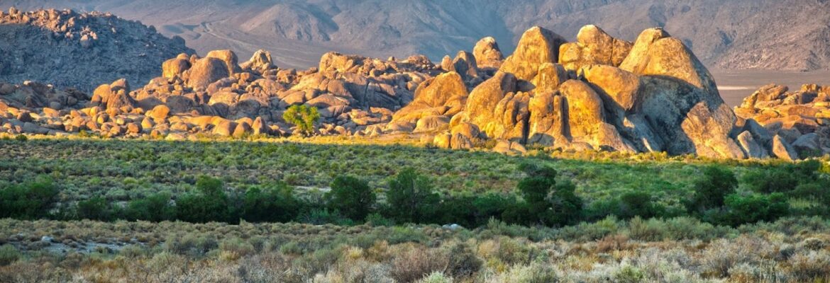 David Marson Gallery