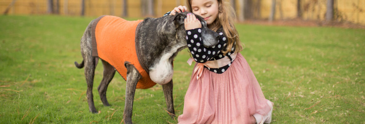 Tara Lynn & Co. Photography