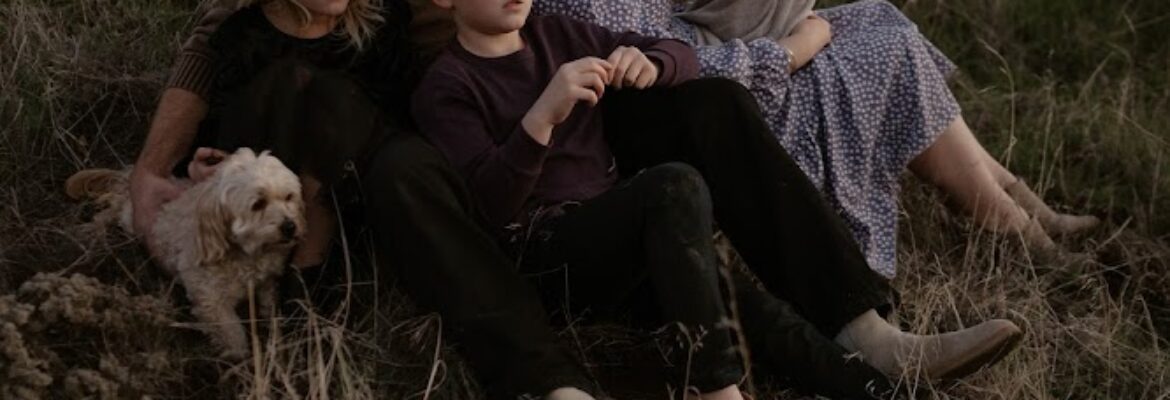 Among the Daisies Photography