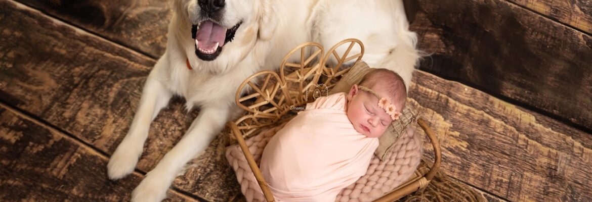 Drama Mama Photography by Lavanya