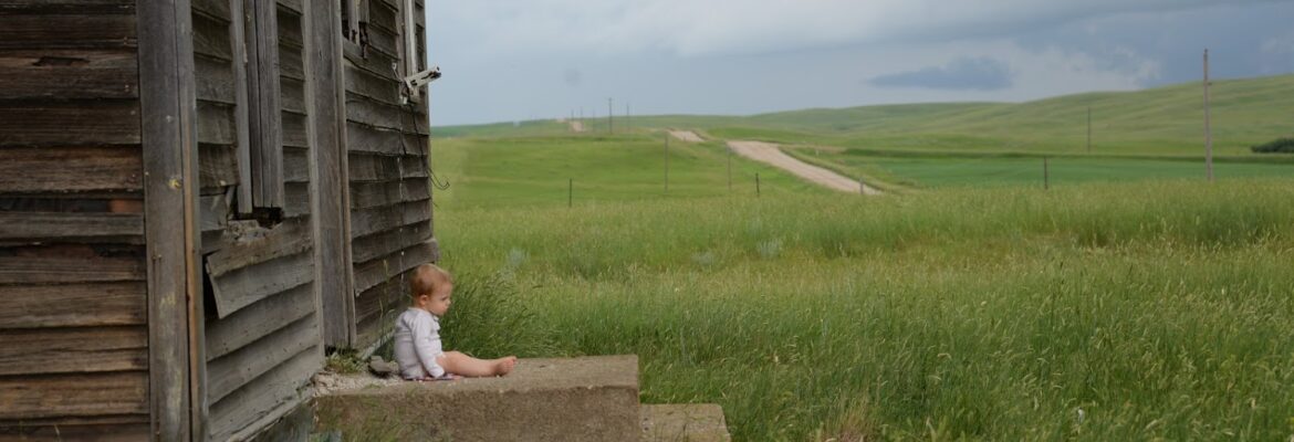 Elizabeth Graham Photography