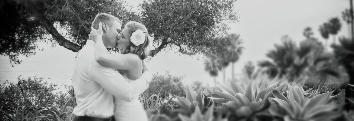 Stephen Orlick Photography