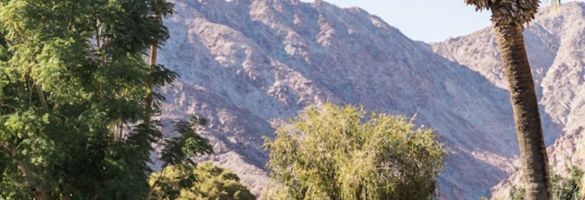 Ashley LaPrade Photography