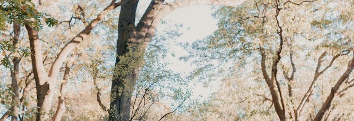 Heather East Photography Studios SYDNEY | LOS ANGELES +
