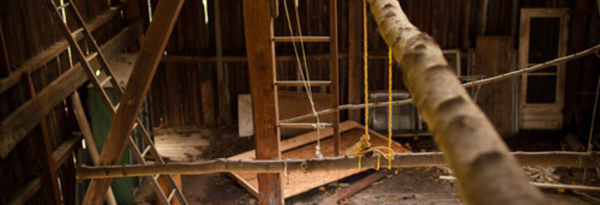 Dale McDonald Photographer LLC