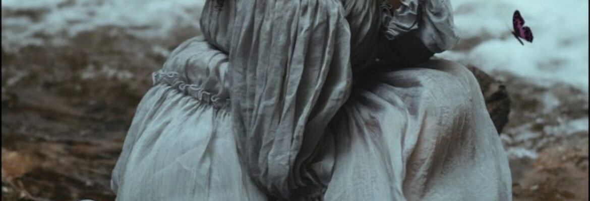 Vellum & Wing Photography