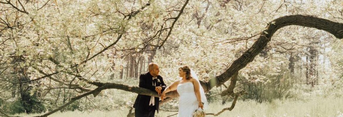 Reflections By Tracy