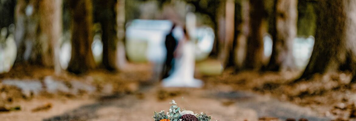 Violet Grace Photography