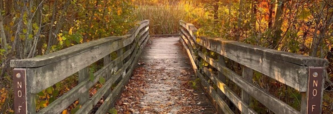 George Edward Photography