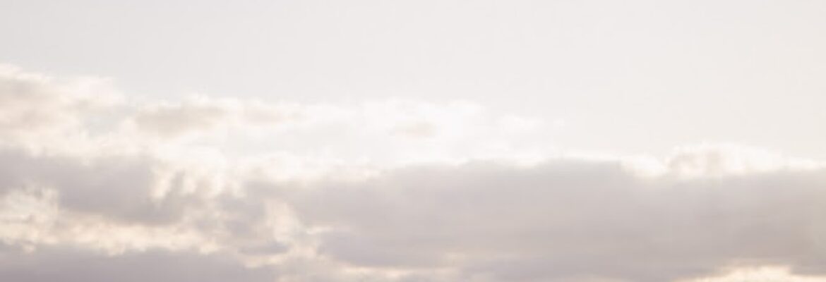 Meg Burke Photography