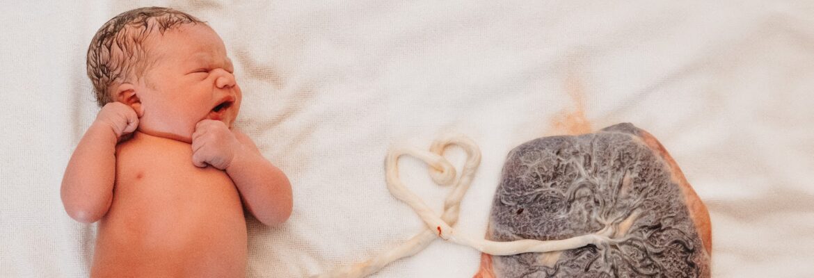 Hannah Blauser Photography