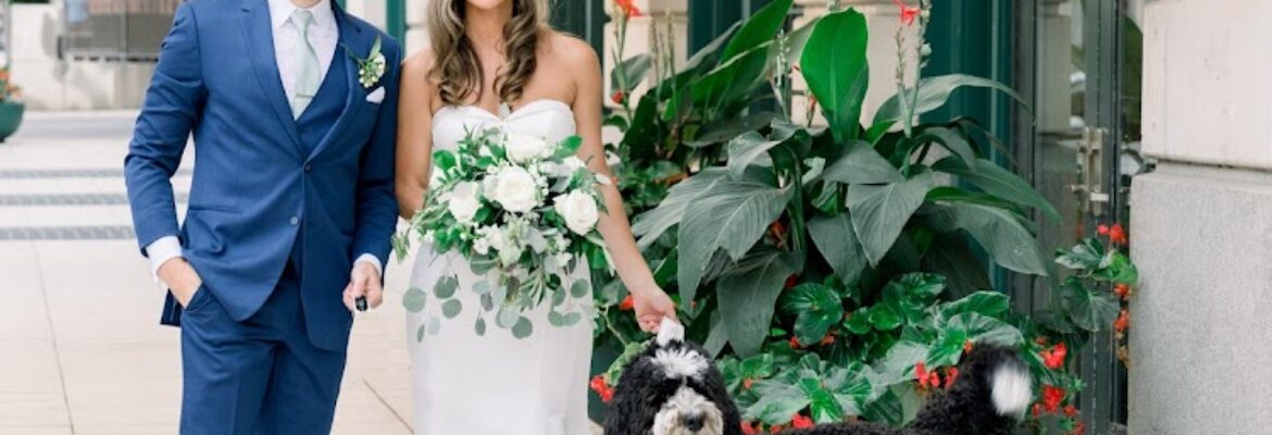 Caitlin Davis Photography