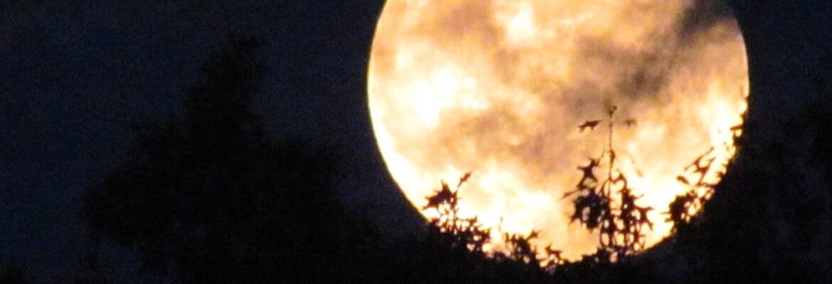 All Wright Photography