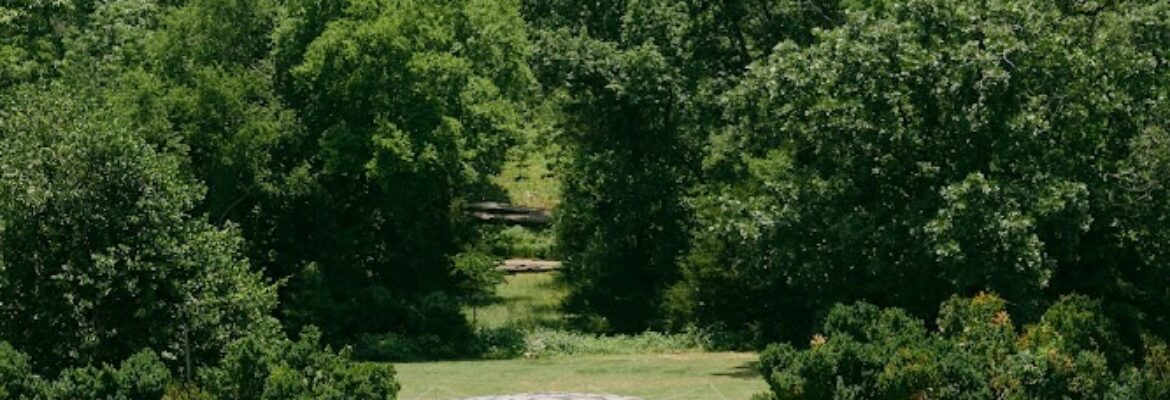 Cameryn Jewel Photography