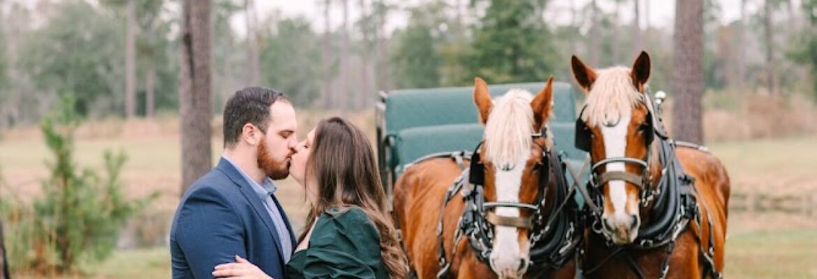 Magnolia South Photography