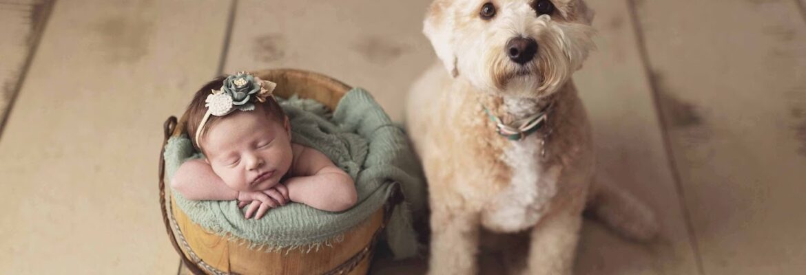 Silver Bee Photography – Austin Newborn Photographer