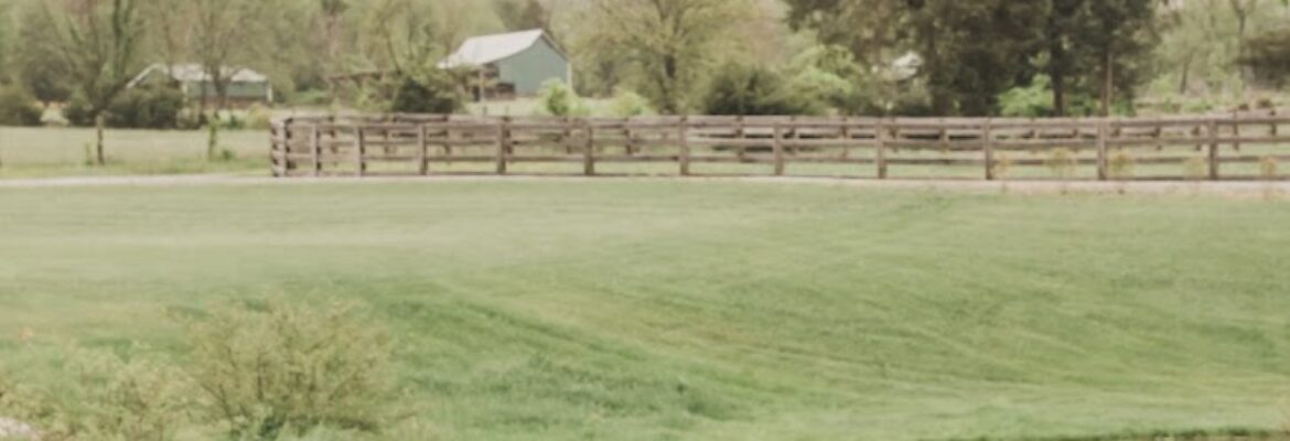 Arli Quinn Photography