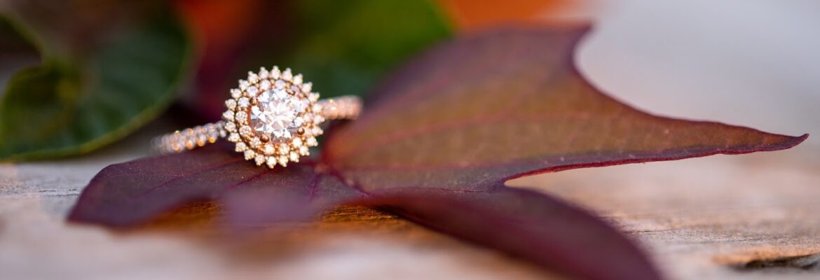 Andrea Schrag Photography, LLC