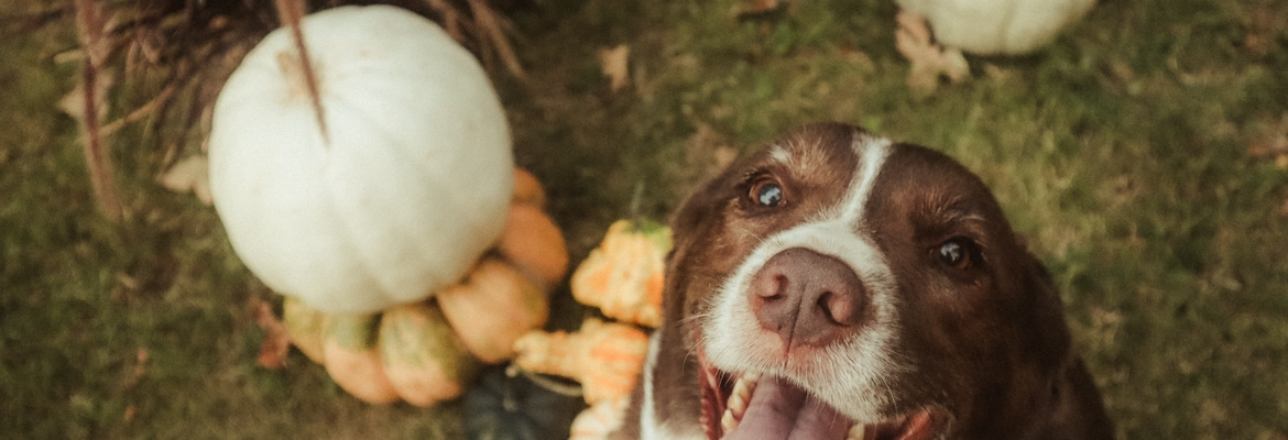 Miryah Keely Photography + Film