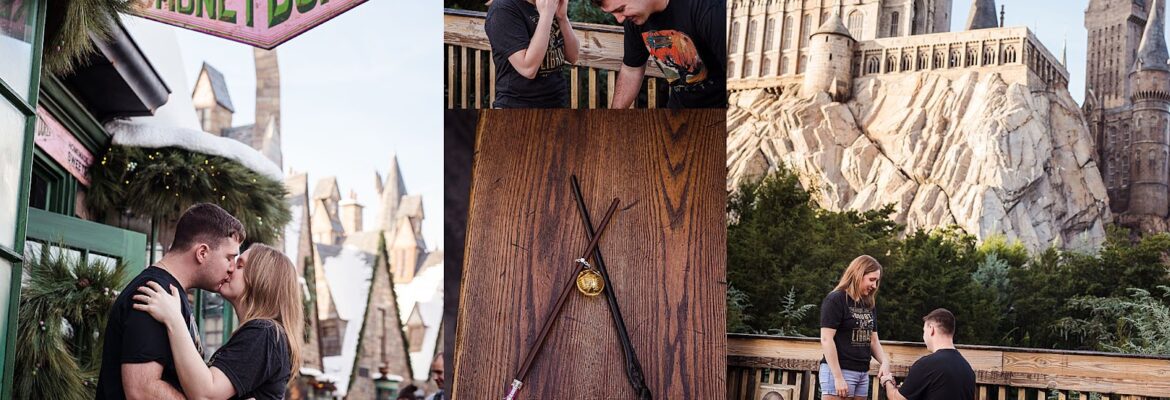 Must Love Adventures