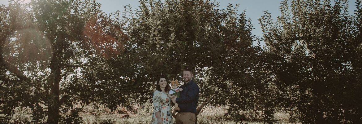 Sarah P Thomas Photography