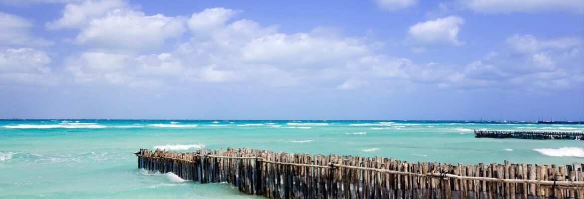 Timothy Hughes Photographics