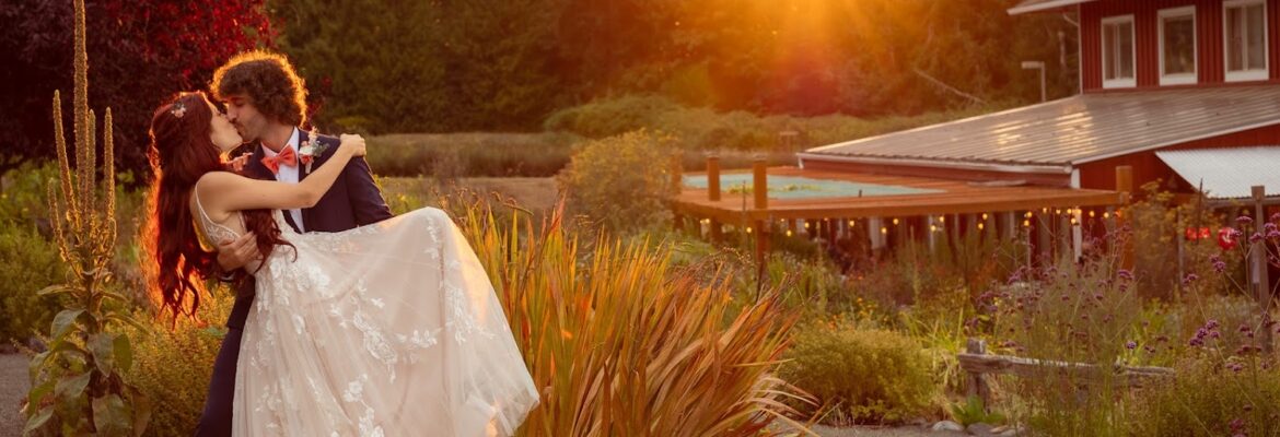 lyssalashell photography