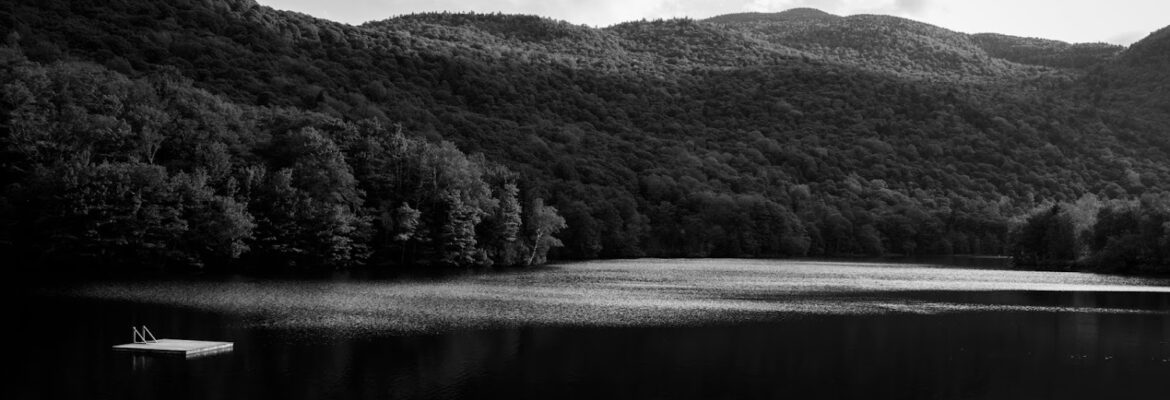 Caitrin Roesler Photography