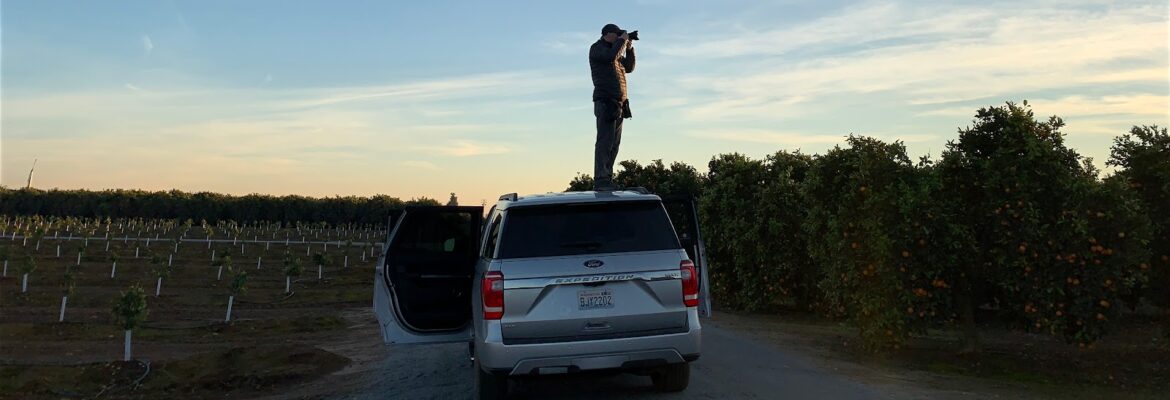 Geoff Johnson Photography + Motion