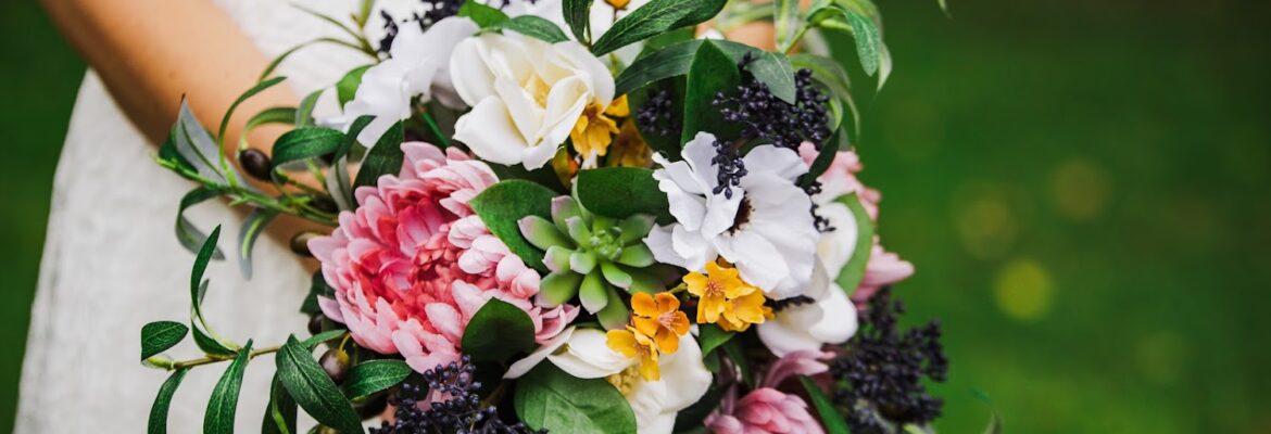 Chelsey Steinke Photography