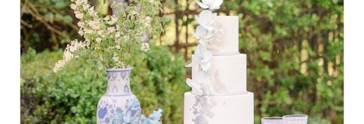 Leslee Layton Films + Photo